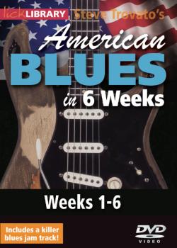Steve Trovato – American Blues in 6 Weeks