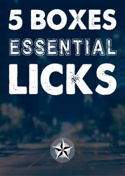 The Woodshed Lessons – 5 Boxes Essential Licks