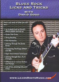 David Gogo Blues Rock Licks and Tricks download DVD
