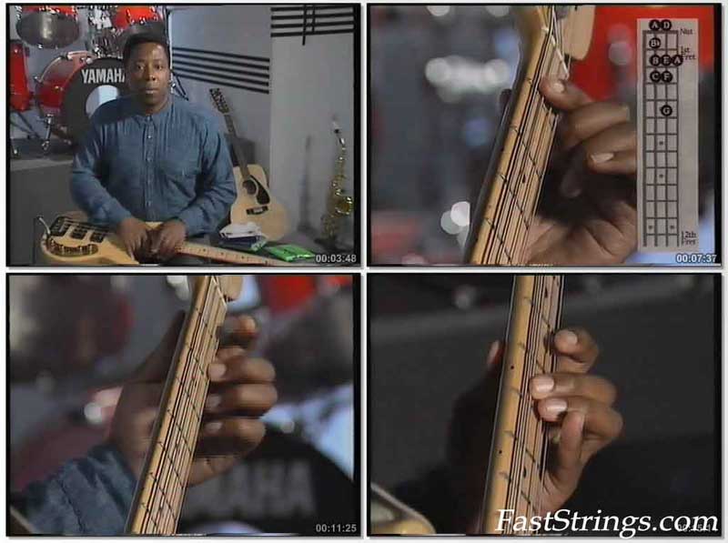 Jools Holland Music Makers Bass Guitar DVD