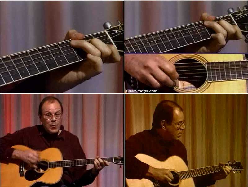 Stefan Grossman Advanced Fingerpicking Guitar Techniques Blues Guitar