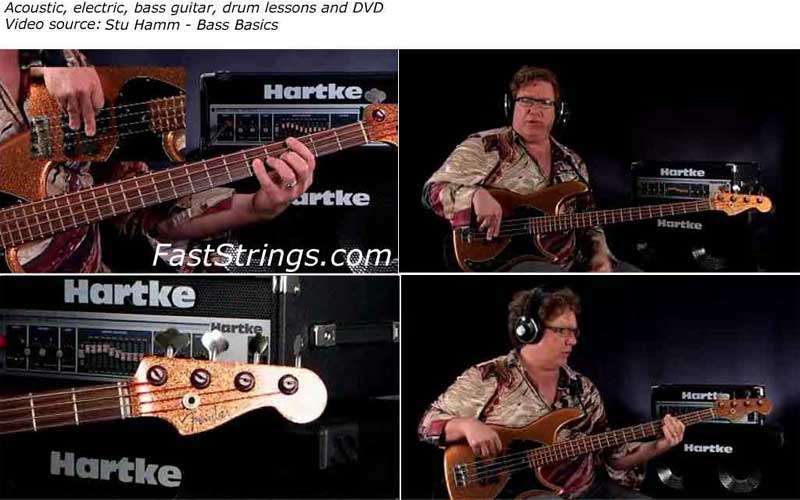 Stu Hamm Bass Basics